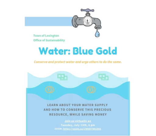 Water Blue Gold webinar